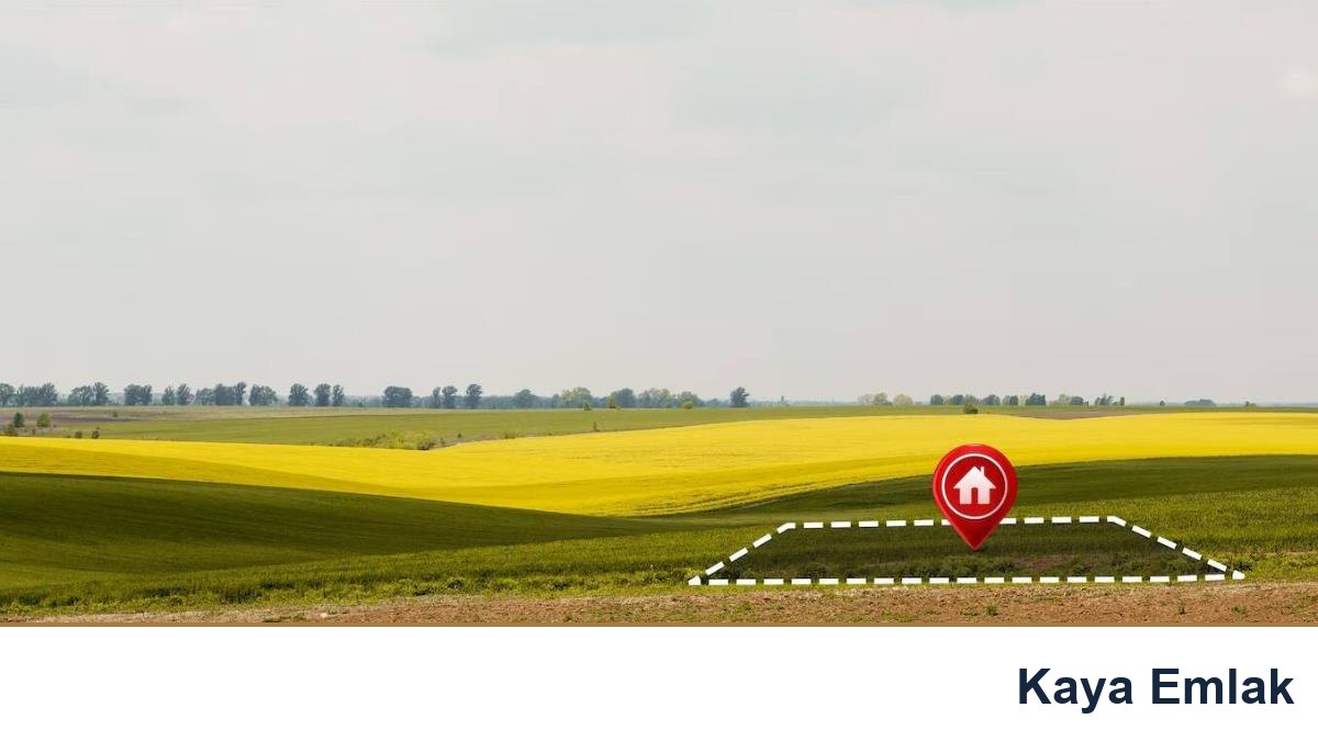 Tarla mı, Arsa mı? Doğru Arazi Yatırımı Nasıl Yapılır?